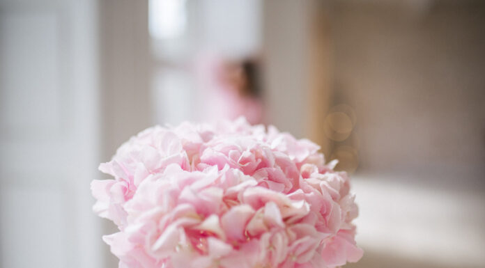 СПАСИБО ЗА ВАШИ ОТЗЫВЫ