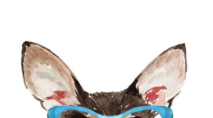 АКТИВАЦИЯ «ТРИ ГЕНЕРАЛА» 12 МАРТА