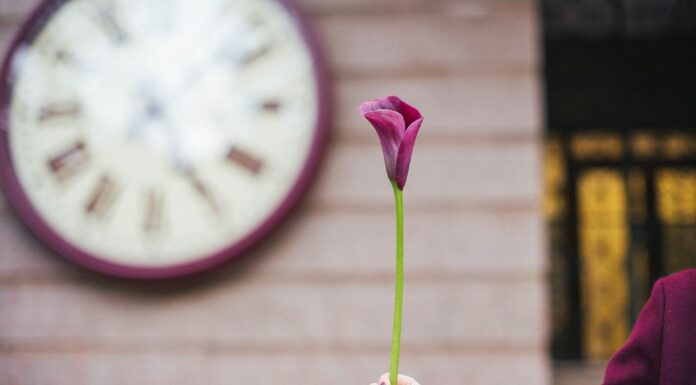АКТИВАЦИЯ БЛАГОРОДНОГО ЧЕЛОВЕКА НА АПРЕЛЬ