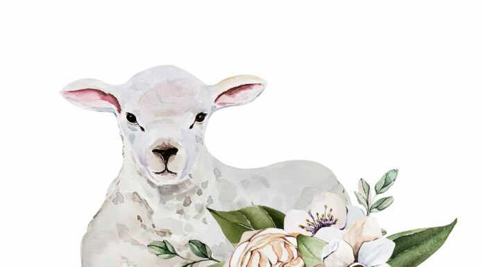 «СОГРЕВАНИЕ ЗВЕЗДЫ СОКРОВИЩ» 26 ФЕВРАЛЯ