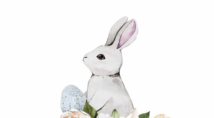 АКТИВАЦИЯ «ТРИ ГЕНЕРАЛА» 22 ФЕВРАЛЯ