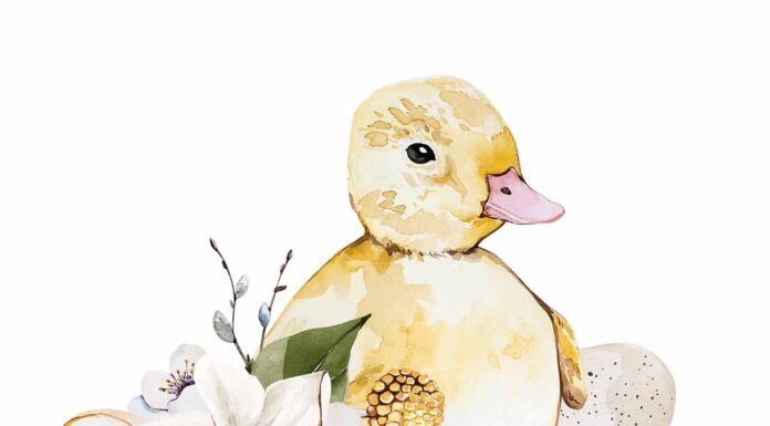 АКТИВАЦИЯ «ТРИ ГЕНЕРАЛА» 9 МАРТА