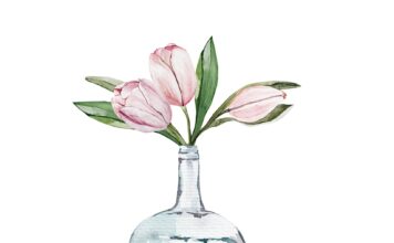 АКТИВАЦИЯ «ТРИ ГЕНЕРАЛА» 11 ФЕВРАЛЯ