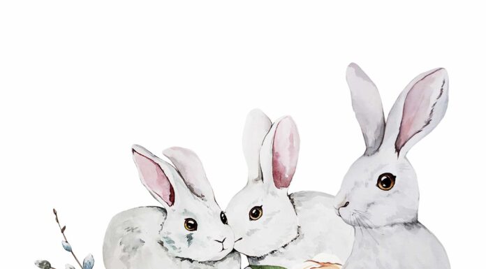 «ПТИЦА ПАДАЕТ В ГНЕЗДО» 10 ФЕВРАЛЯ