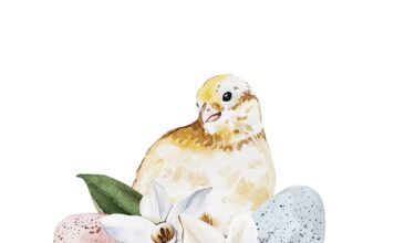 АКТИВАЦИЯ «ТРИ ГЕНЕРАЛА» 16 ФЕВРАЛЯ