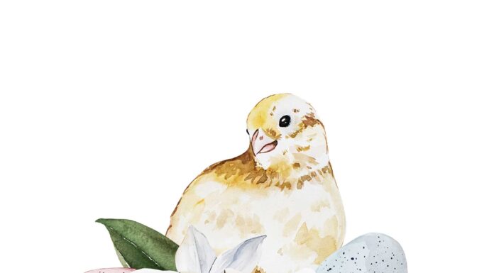 АКТИВАЦИЯ «ТРИ ГЕНЕРАЛА» 16 ФЕВРАЛЯ