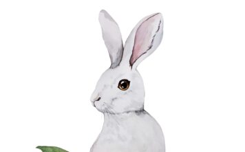 «СОГРЕВАНИЕ ЗВЕЗДЫ СОКРОВИЩ» 5 МАРТА