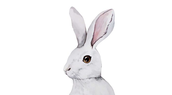 «СОГРЕВАНИЕ ЗВЕЗДЫ СОКРОВИЩ» 5 МАРТА