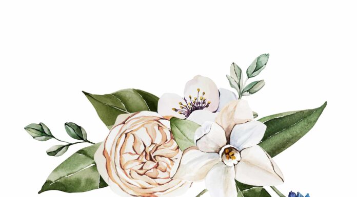 «ПТИЦА ПАДАЕТ В ГНЕЗДО» 6 ФЕВРАЛЯ