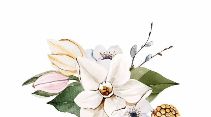 АКТИВАЦИЯ «ТРИ ГЕНЕРАЛА» 12 ФЕВРАЛЯ