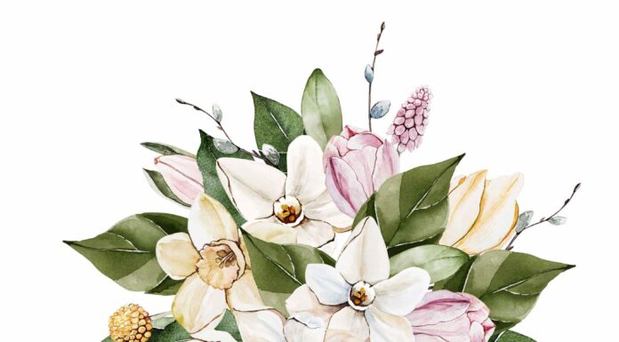 АКТИВАЦИЯ «ТРИ ГЕНЕРАЛА» 26 ФЕВРАЛЯ