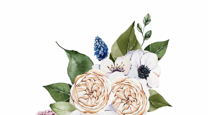 ПРОГУЛКА ДЛЯ ФИНАНСОВОЙ УДАЧИ, КАРЬЕРЫ, ОТНОШЕНИЙ 4 МАРТА