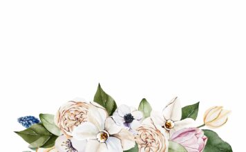 АКТИВАЦИЯ «ТРИ ГЕНЕРАЛА» 18 ФЕВРАЛЯ