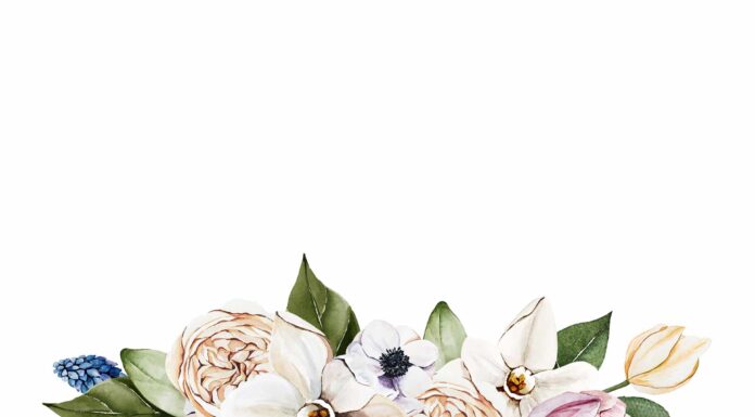 АКТИВАЦИЯ «ТРИ ГЕНЕРАЛА» 18 ФЕВРАЛЯ