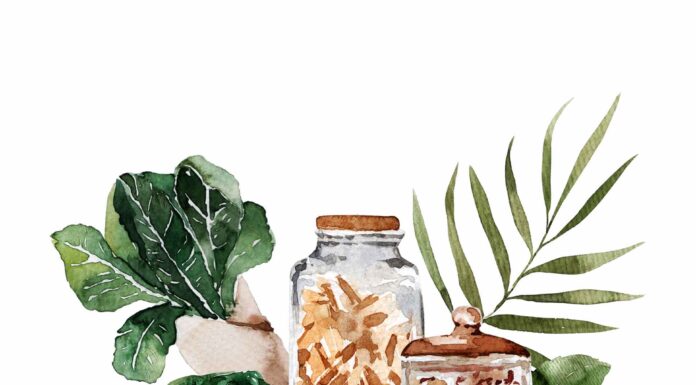 «ПТИЦА ПАДАЕТ В ГНЕЗДО» 7 МАРТА