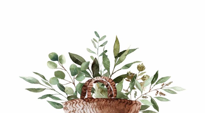 «ПТИЦА ПАДАЕТ В ГНЕЗДО» 30 МАРТА