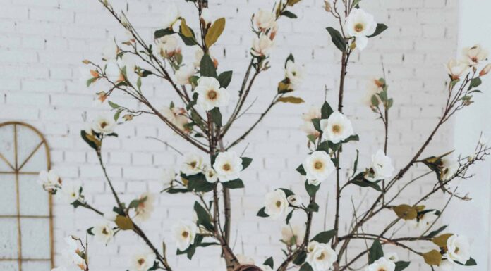 ПРЯМОЙ ЭФИР 1 АПРЕЛЯ В ИНСТАГРАМЕ