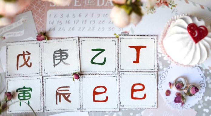 СЛОВА-ЗАГАДКИ: 1. Укоренение элемента