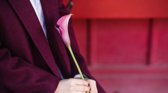 ОРАКУЛ ЦИ МЕНЬ: УКАЗАТЕЛИ НА СЕРЬЕЗНУЮ БОЛЕЗНЬ