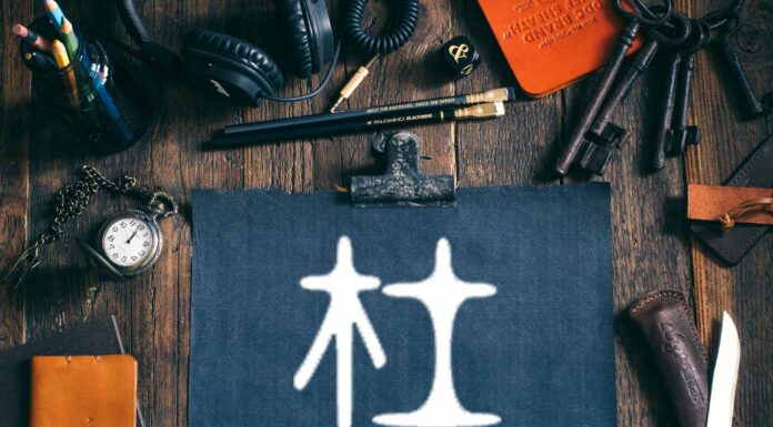 ЧТЕНИЕ ЖИЗНИ ПО ЦИ МЕНЬ: ВОРОТА ТАЙНИК 杜 ДУ МЕНЬ