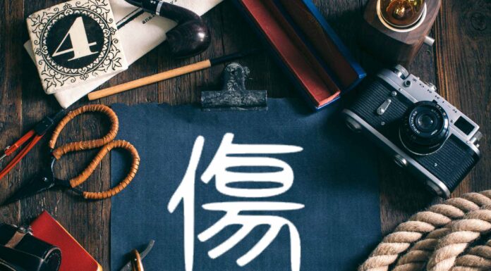 ЧТЕНИЕ ЖИЗНИ ПО ЦИ МЕНЬ: ВОРОТА РАНЕНИЯ 傷 ШАН МЕНЬ