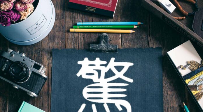 ЧТЕНИЕ ЖИЗНИ ПО ЦИ МЕНЬ: ВОРОТА ШОКА 驚 ЦЗИН МЕНЬ