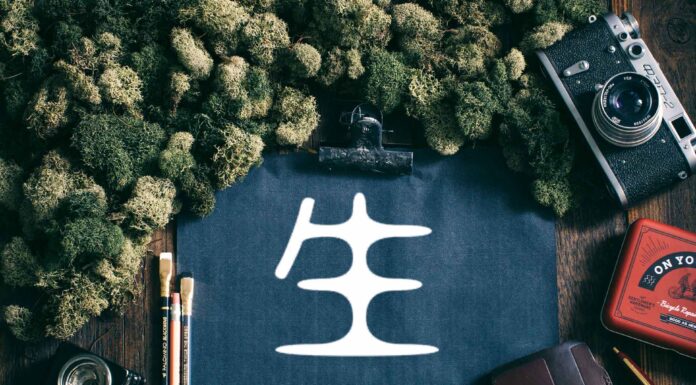 ЧТЕНИЕ ЖИЗНИ ПО ЦИ МЕНЬ: ВОРОТА ЖИЗНИ 生 ШЭН МЕНЬ