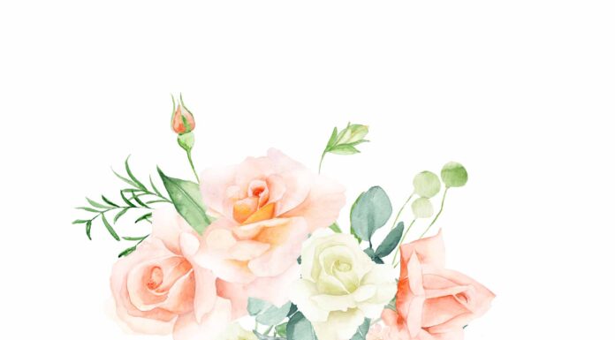 «СОГРЕВАНИЕ ЗВЕЗДЫ СОКРОВИЩ» 11 МАЯ