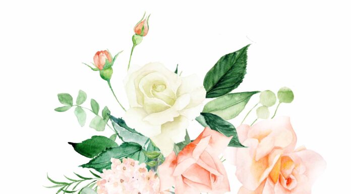 АКТИВАЦИЯ «ТРИ ГЕНЕРАЛА» 26 МАЯ