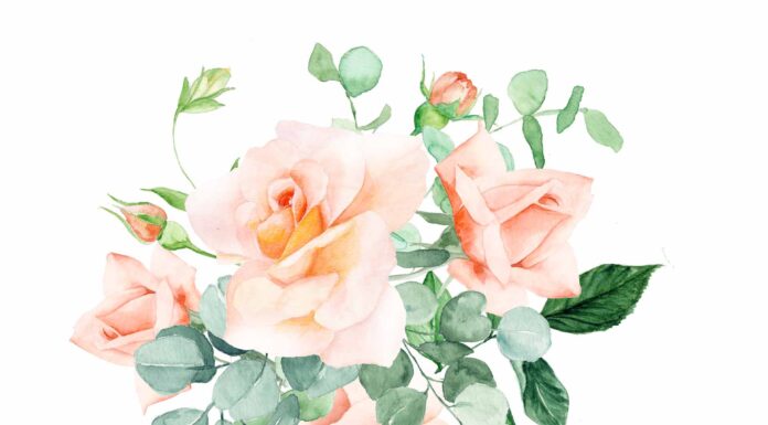 АКТИВАЦИЯ «ТРИ ГЕНЕРАЛА» 16 МАЯ