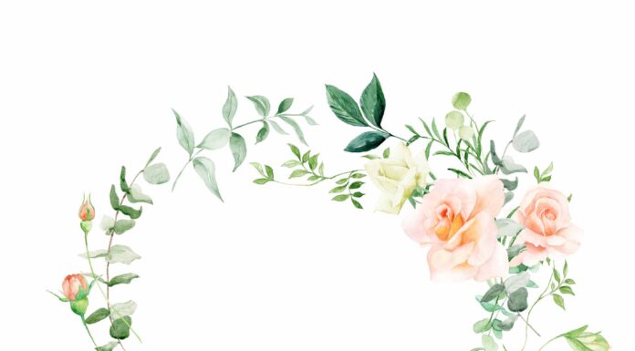 АКТИВАЦИЯ «ТРИ ГЕНЕРАЛА» 15 МАЯ