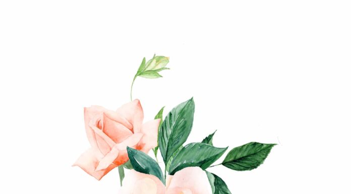 «ЗЕЛЕНЫЙ ДРАКОН ПОВОРАЧИВАЕТ ГОЛОВУ» 6 МАЯ