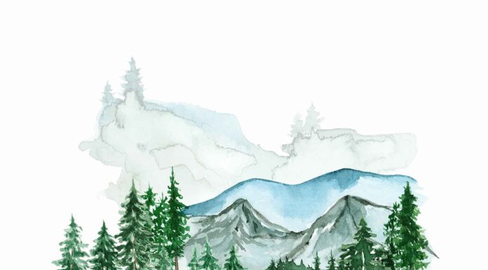 «ПТИЦА ПАДАЕТ В ГНЕЗДО» 23 ИЮНЯ