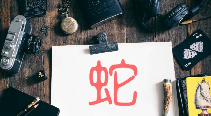 ЧТЕНИЕ ЖИЗНИ ПО ЦИ МЕНЬ: ДУХ ЗМЕЯ ТЭН ШЭ 蛇