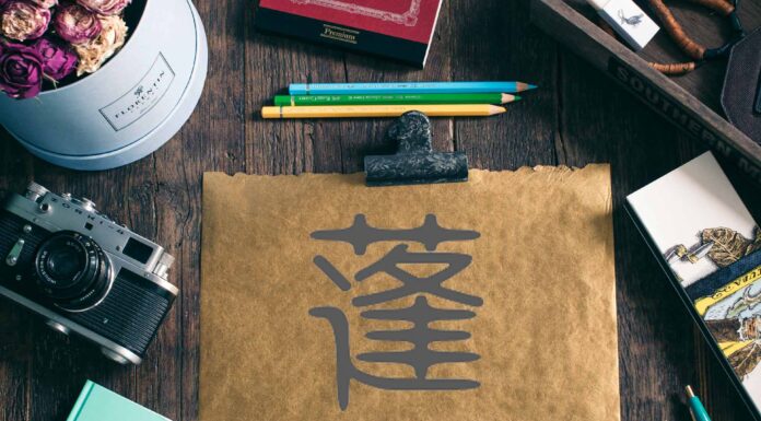 ЧТЕНИЕ ЖИЗНИ ПО ЦИ МЕНЬ: ЗВЕЗДА ТРАВА ТЯНЬ ПЭН 蓬