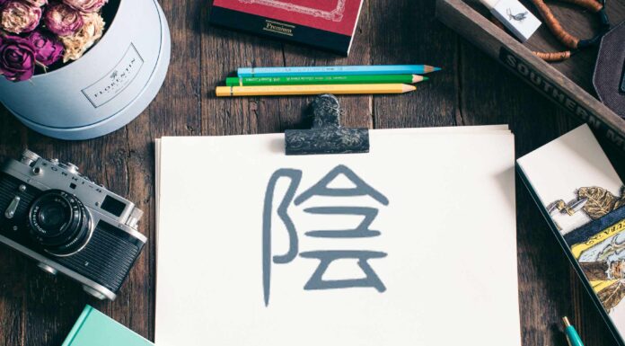 ЧТЕНИЕ ЖИЗНИ ПО ЦИ МЕНЬ: ДУХ ВЕЛИКИЙ ИНЬ ТАЙ ИНЬ 陰