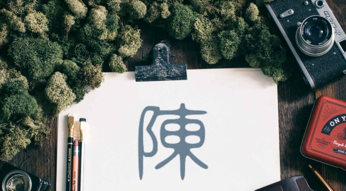 ЧТЕНИЕ ЖИЗНИ ПО ЦИ МЕНЬ: ДУХ НАСЕКОМОЕ ГОУ ЧЭН 陳