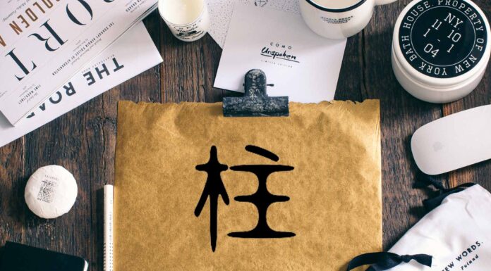 ЧТЕНИЕ ЖИЗНИ ПО ЦИ МЕНЬ: ЗВЕЗДА СТОЛП ТЯНЬ ЧЖУ 柱