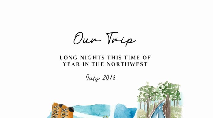 «ПТИЦА ПАДАЕТ В ГНЕЗДО» 10 ИЮЛЯ