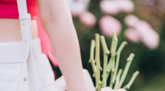 ОШИБКИ В БАЦЗЫ: 5. СТОЛКНОВЕНИЕ И СЛИЯНИЕ