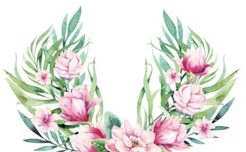 «СОГРЕВАНИЕ ЗВЕЗДЫ СОКРОВИЩ» 16 ИЮЛЯ