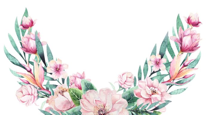 ПРОГУЛКА ДЛЯ ФИНАНСОВОЙ УДАЧИ, КАРЬЕРЫ, ОТНОШЕНИЙ, ЗДОРОВЬЯ 25 ИЮЛЯ