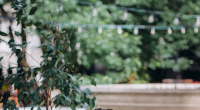 ОРАКУЛ ЦИ МЕНЬ: СИТУАЦИИ КЛИЕНТОВ