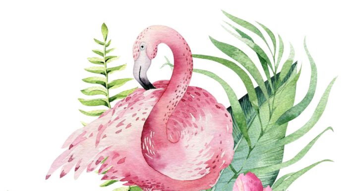 «СОГРЕВАНИЕ ЗВЕЗДЫ СОКРОВИЩ» 29 АВГУСТА