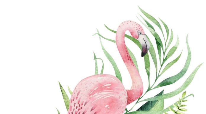 «ПТИЦА ПАДАЕТ В ГНЕЗДО» 15 АВГУСТА