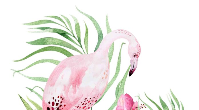 «СОГРЕВАНИЕ ЗВЕЗДЫ СОКРОВИЩ» 25 АВГУСТА