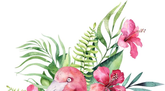 «СОГРЕВАНИЕ ЗВЕЗДЫ СОКРОВИЩ» 17 АВГУСТА