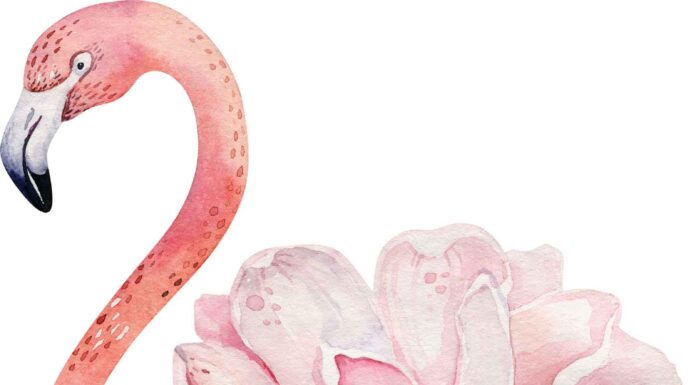 «ПТИЦА ПАДАЕТ В ГНЕЗДО» 21 АВГУСТА