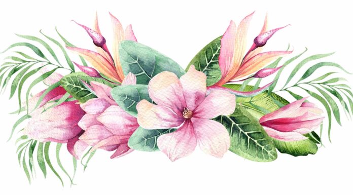 ПРОГУЛКА ДЛЯ ФИНАНСОВОЙ УДАЧИ, КАРЬЕРЫ, ОТНОШЕНИЙ, ЗДОРОВЬЯ 5 АВГУСТА