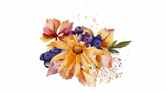 АКТИВАЦИЯ «ТРИ ГЕНЕРАЛА» 17 СЕНТЯБРЯ